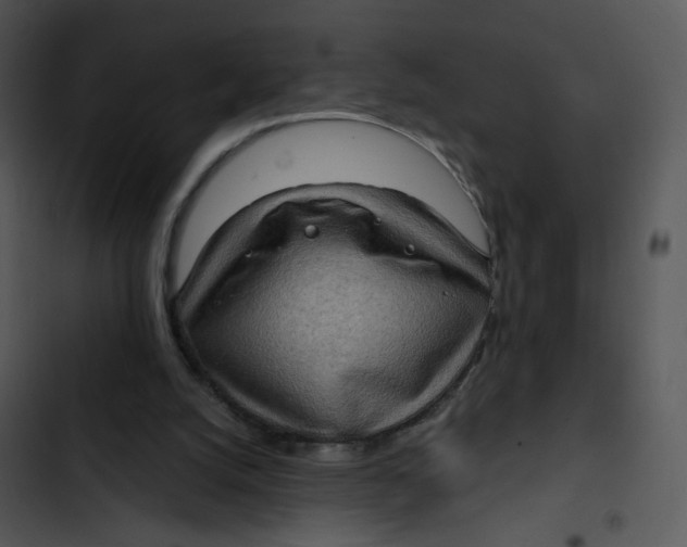 X0000102830056200809081205