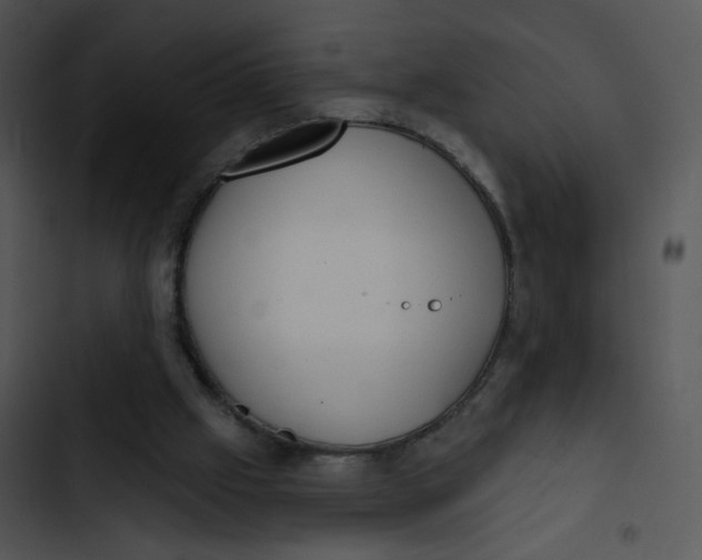 X0000102830057200809081205