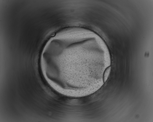 X0000102830058200809081205