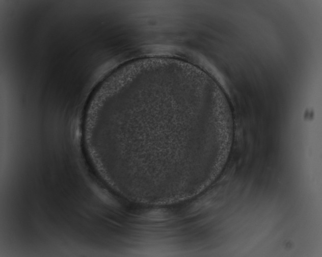 X0000102830059200809081205