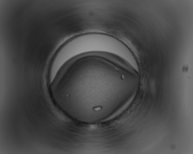 X0000102830060200809081205