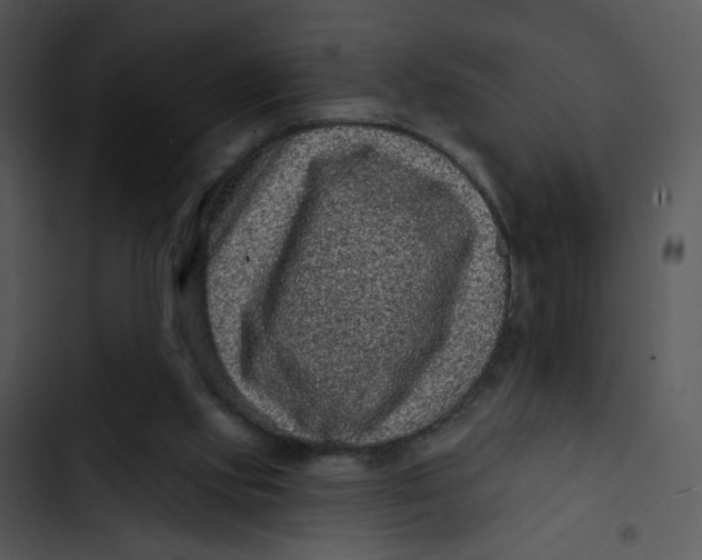 X0000102830061200809081205
