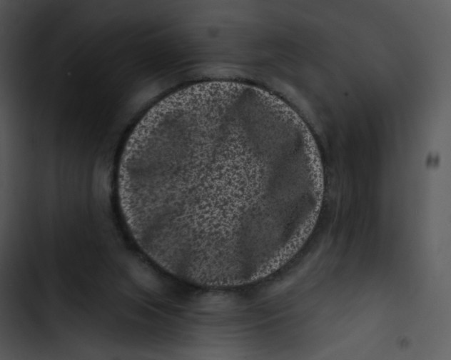 X0000102830063200809081205