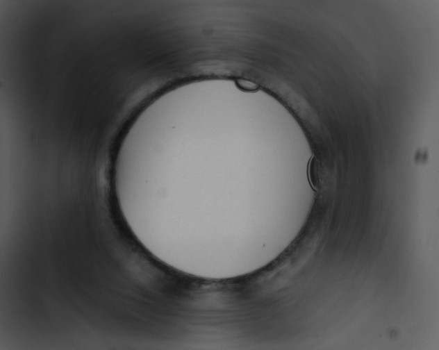 X0000102830064200809081205