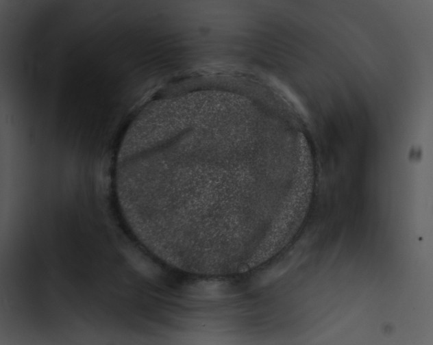 X0000102830065200809081205