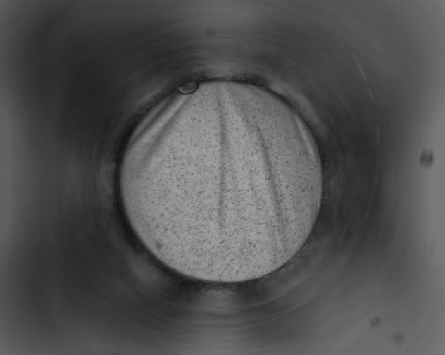 X0000102830066200809081205