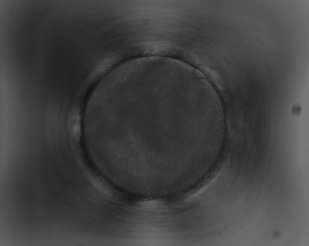 X0000102830067200809081205