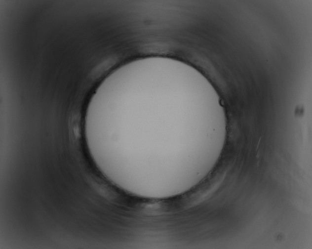 X0000102830068200809081205