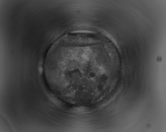 X0000102830069200809081205