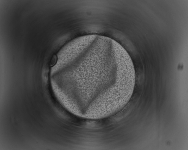 X0000102830070200809081205