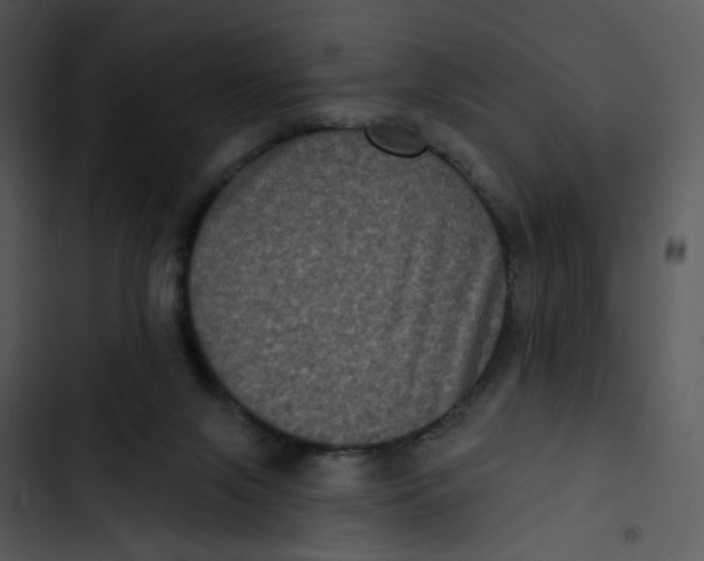 X0000102830071200809081205
