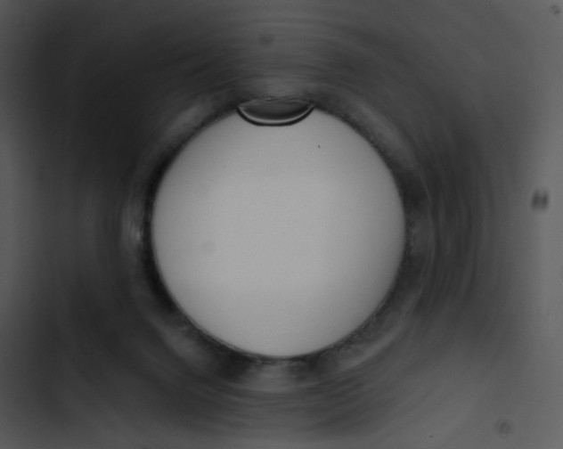 X0000102830072200809081205