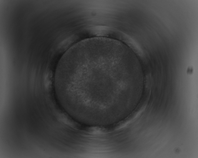 X0000102830073200809081205