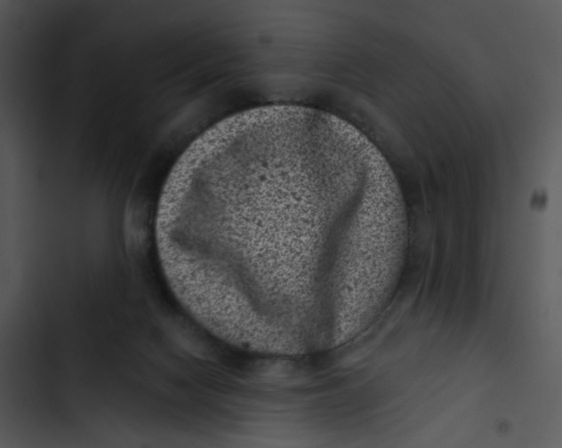 X0000102830074200809081205