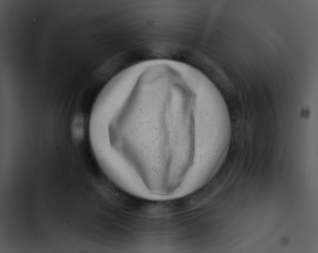 X0000102830075200809081206