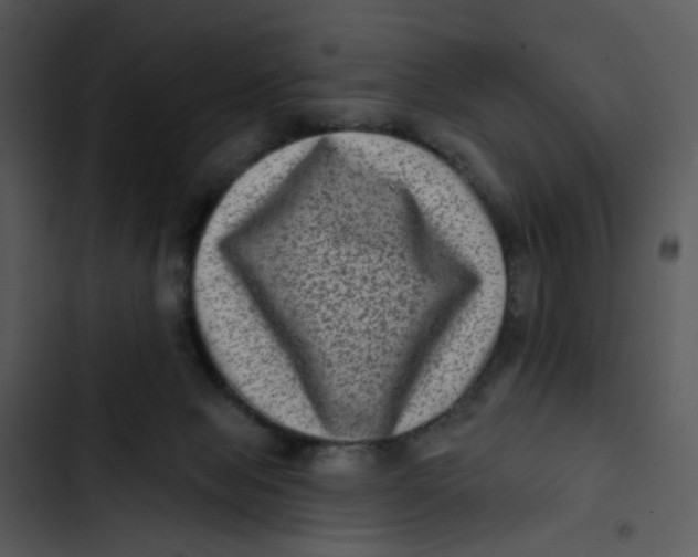 X0000102830077200809081206