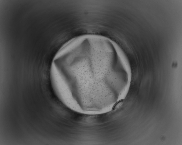 X0000102830078200809081206