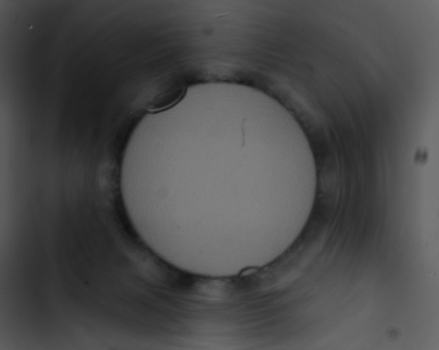 X0000102830079200809081206