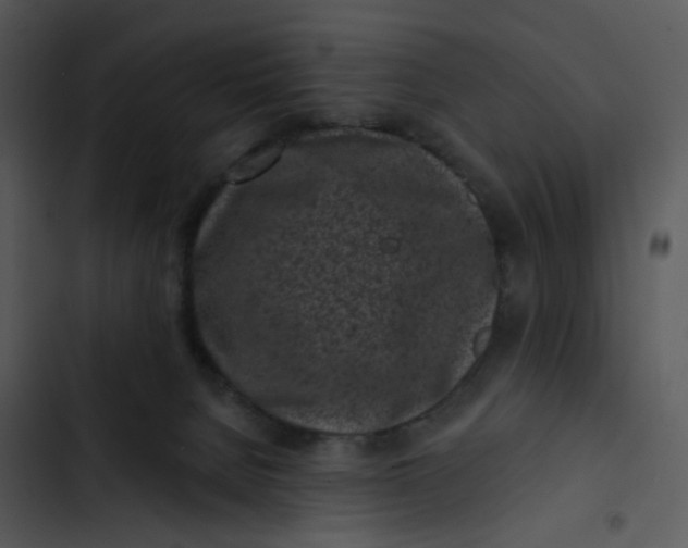 X0000102830080200809081206