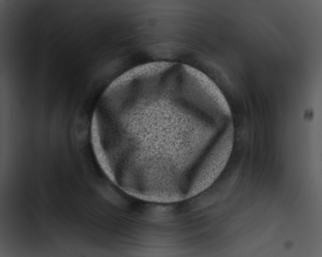 X0000102830081200809081206