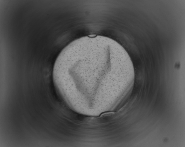 X0000102830082200809081206