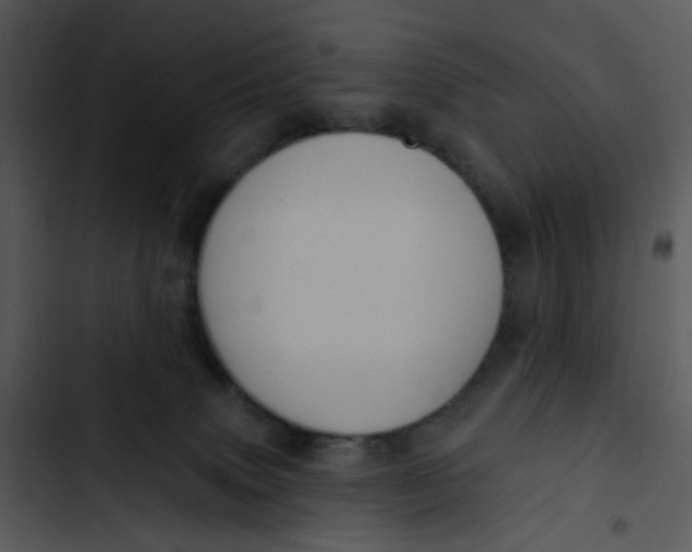 X0000102830083200809081206
