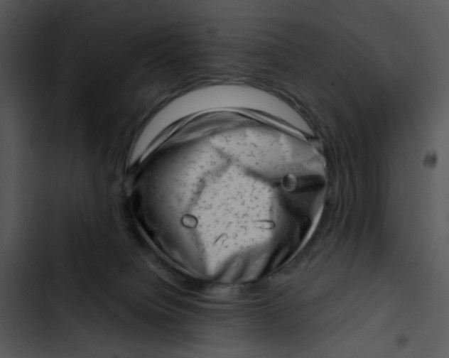 X0000102830084200809081206