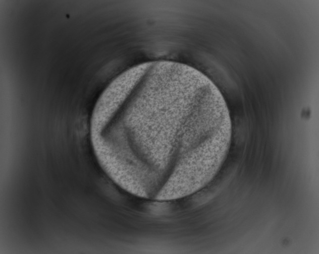 X0000102830085200809081206