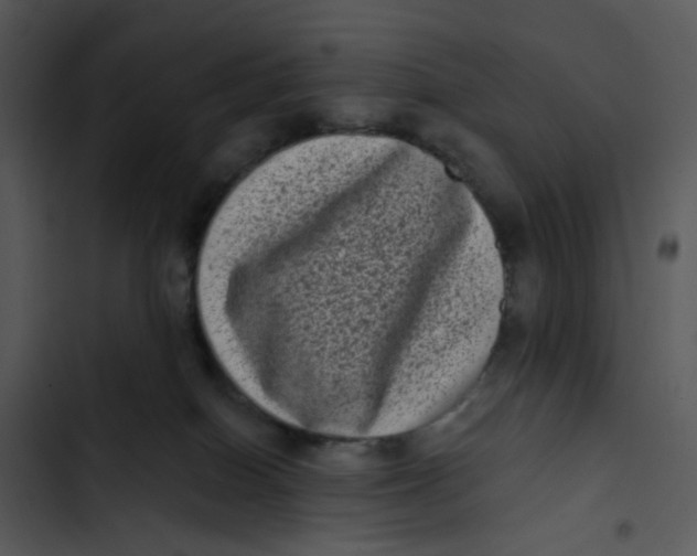 X0000102830086200809081206