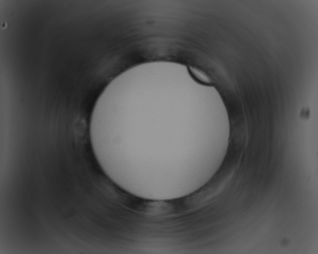 X0000102830087200809081206