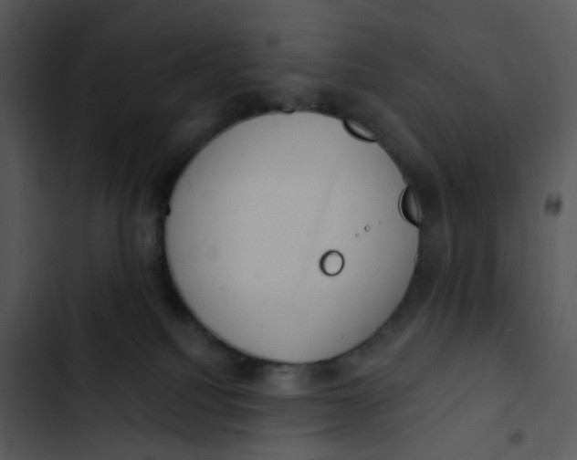 X0000102830088200809081206