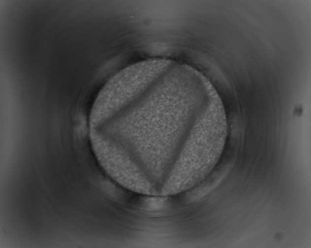 X0000102830089200809081206