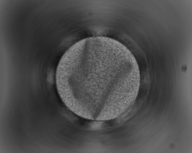 X0000102830090200809081206