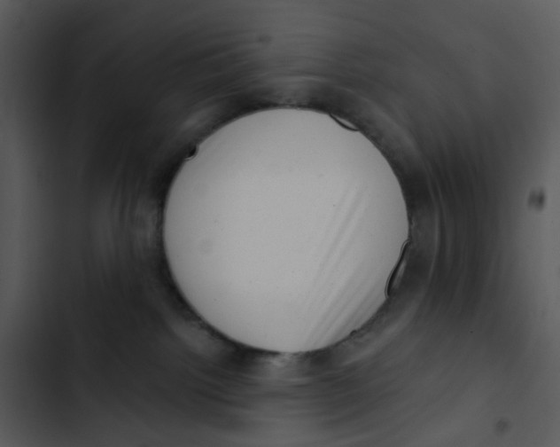 X0000102830092200809081206