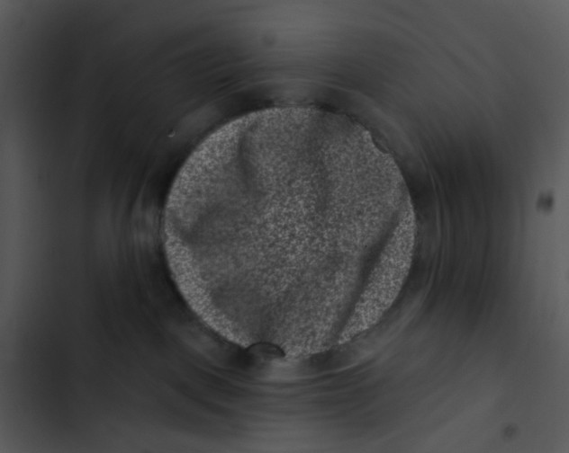 X0000102830093200809081206