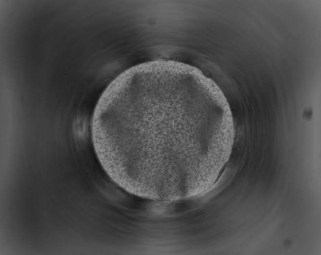 X0000102830094200809081206