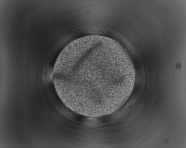 X0000102830095200809081206