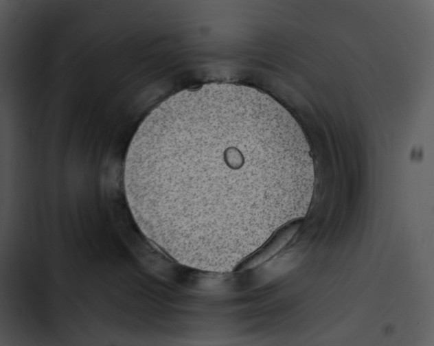 X0000102830096200809081206