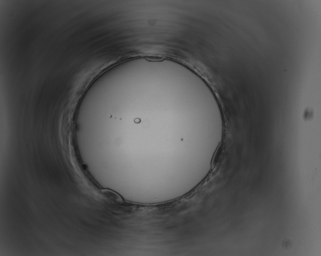 X0000102830097200809081205