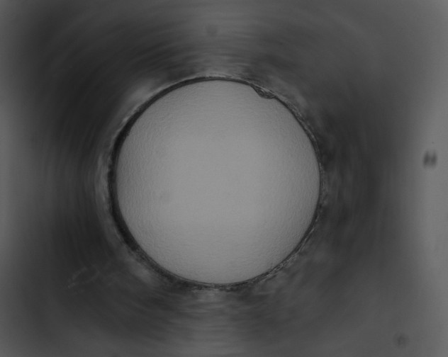 X0000102830098200809081205