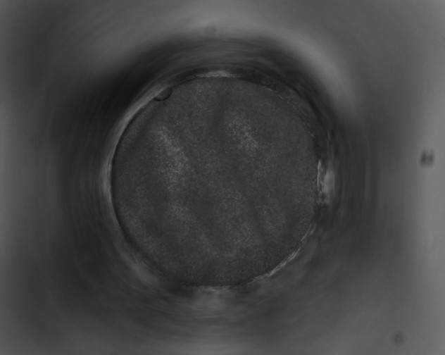 X0000102830099200809081205