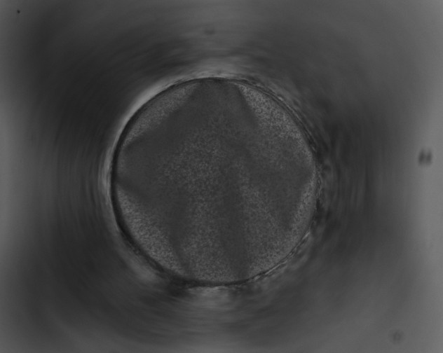 X0000102830100200809081205