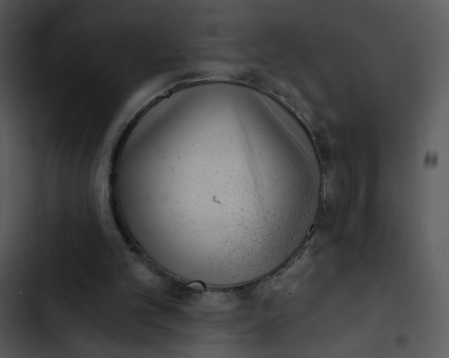 X0000102830101200809081205