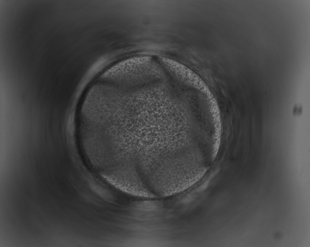 X0000102830102200809081205