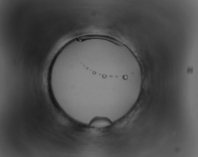 X0000102830103200809081205