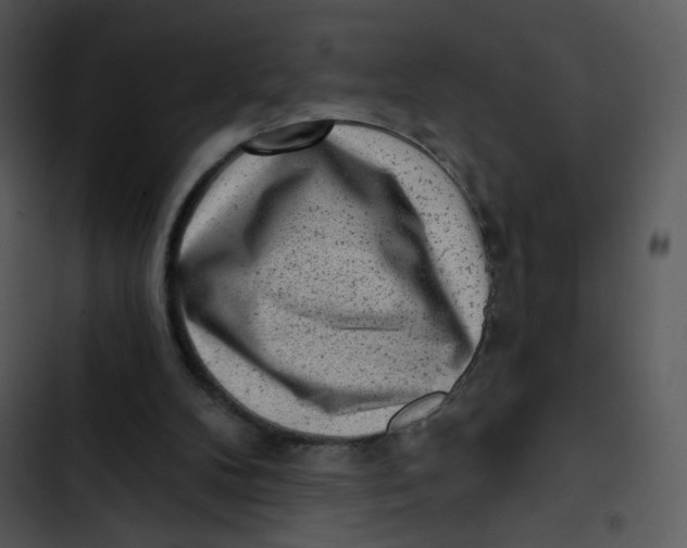 X0000102830104200809081205
