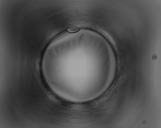 X0000102830105200809081205