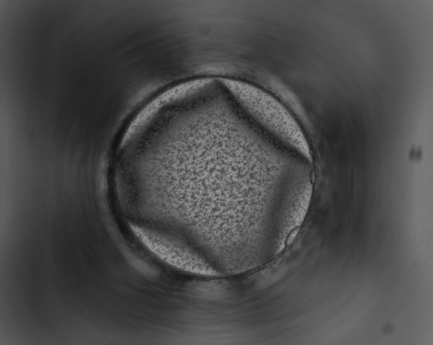 X0000102830106200809081205
