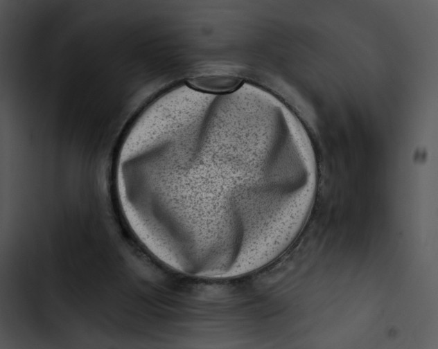X0000102830107200809081205