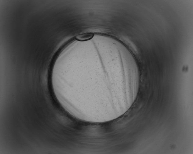 X0000102830108200809081205